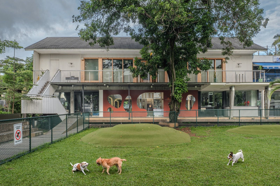 Rhyform Studio, The Spatial Reflection of Fluidity That Inspires Movement